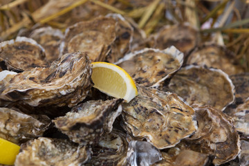 Plenty of seafood, oysters in basket