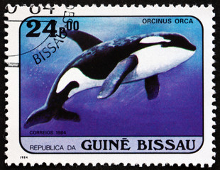 Postage stamp Guinea-Bissau 1984 Killer Whale