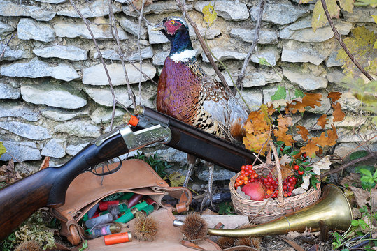 hunting composition/hunting gun,pheasant,hunting bag with sleeves, horn, fall plants in front of old stone background outdoors