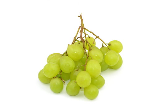 winogrono