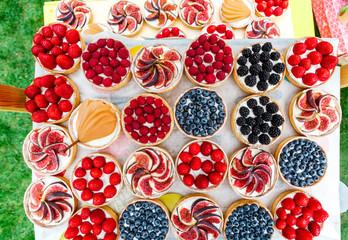 Fruit and Berry tarts dessert assorted top view background