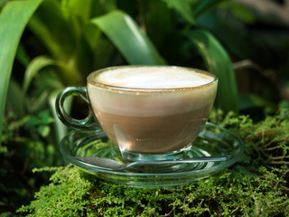 late coffee with garden background