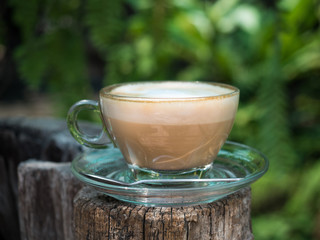 late coffee with garden background