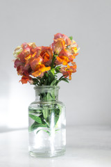 Bouquet flowers in glass vase with indoor grey wall background