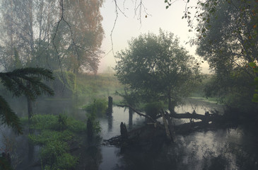 Autumn landscape with forest river