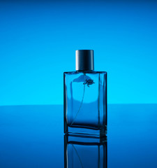 perfume, cosmetic, aroma, fashion, fresh, drops