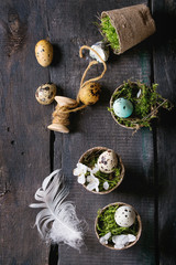 Decor colorful Easter quail eggs with spring cherry flowers, moss, spool of thread in small garden pots over old wooden background. Dark rustic style. Top view with copy space.