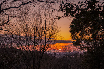Fototapeta na wymiar 自然林から播磨灘の夕陽