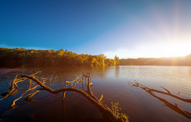 Picturesque forest and the river