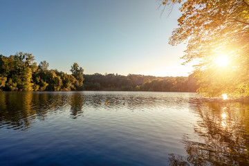Picturesque forest and the river