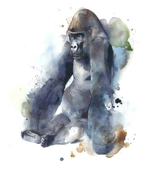 Gorilla ape monkey big creature mammal sitting watercolor painting illustration isolated on white background