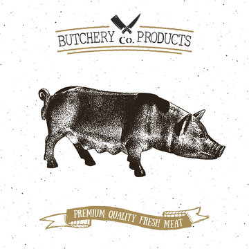 Butcher Shop vintage emblem pork meat products, butchery Logo template retro style. Vintage Design for Logotype, Label, Badge and brand design. vector illustration.