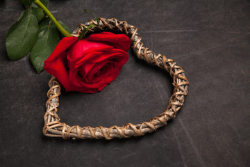 Red rose on dark background with wooden heart shaped, concept of romantic relationship. Congratulation on Valentine's day.