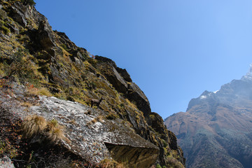 Trekking in Nepal, Himalayas