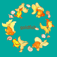 frame with fish and shells