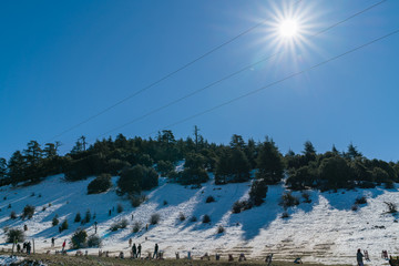 Fototapeta premium snow hills 