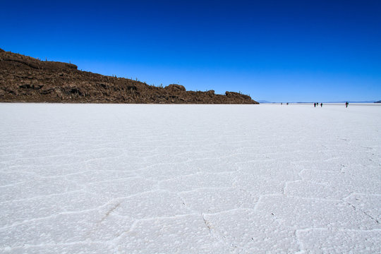 Island in the Salar de Uyuni. Bolivia