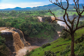Fototapeta premium Tis Isat Falls on the Blue Nile.