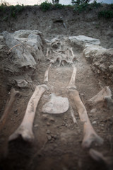 Yacimiento arqueológico de L'Esquerda, en Les Masies de Roda