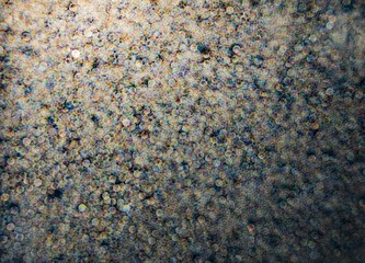 defocused bokeh lights