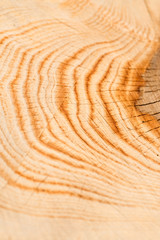 wood texture saw cut on