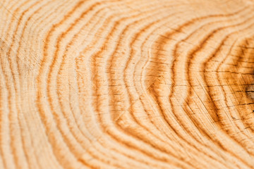 Fototapeta na wymiar wood texture saw cut on