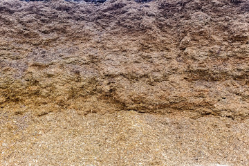 raw material used for the production of biogas