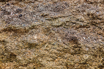 raw material used for the production of biogas