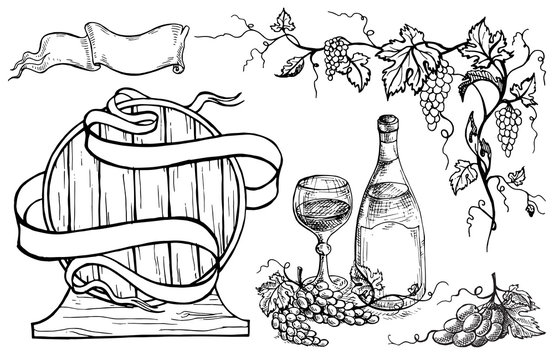 Wine set in graphic style hand-drawn vector illustration