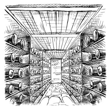 Wine cellar full of wine bottles in graphic style hand-drawn vector illustration