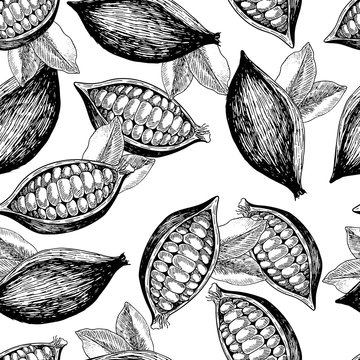 Vector seamless pattern of cocoa beans and leaves. Hand drawn engraved art. Healthy beauty hair nutrition.