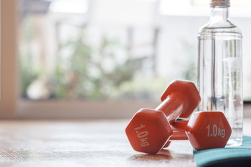 Fitness concept - Pair of dumbbells on a wooden floor
