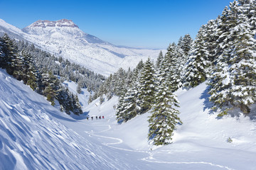 Fototapeta na wymiar zirveye doğru yürüyen dağcılar & kış yürüyüşü