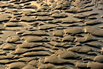 golden sand curves on the beach reflections