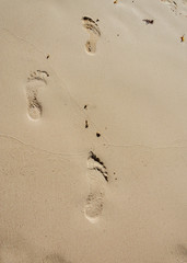 Fussabruck im Sand Foot Prints 