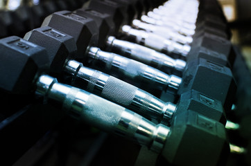 Dumbbell weights all in a row, workout time.