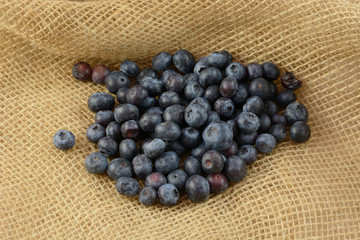 Fresh fruit harvest of raw blueberries on burlap