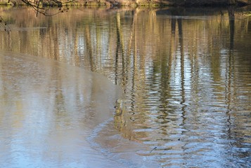 Eis auf dem Teich