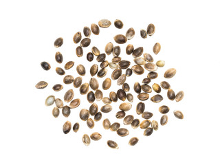 Some hemp seeds spread out and isolated on white background