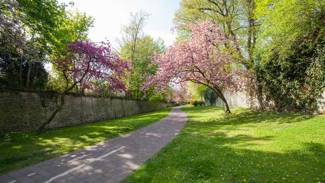 Soester Gr&auml;fte im Fr&uuml;hling