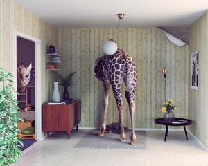 girafe dans le salon