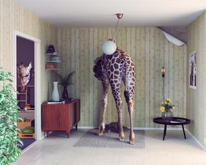 Crédence de cuisine en verre imprimé Girafe girafe dans le salon