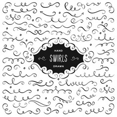 Vector swirls and flourish collection. Hand drawn design elements, Decorative calligraphic and page decoration symbols, Ink illustration