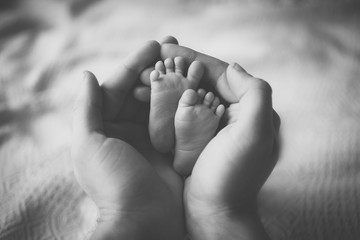 Fototapeta Parent holding in the hands feet of newborn baby. obraz