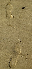 Leave only footprints