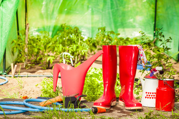 Gardening tools outdoor in garden