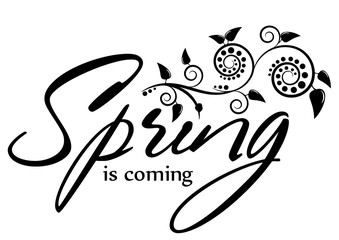 Spring card with hand written black lettering and branch of flowers in hand drawn calligraphic technique isolated on white background. Vector illustration