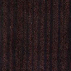 Timber surface. High detailed this image