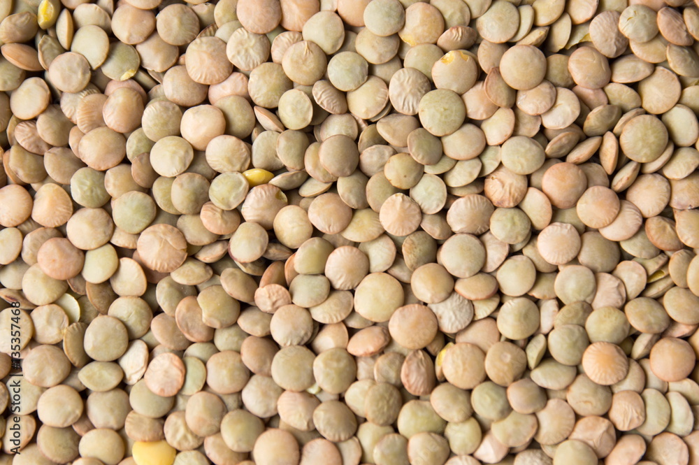 Poster raw lentil background pattern