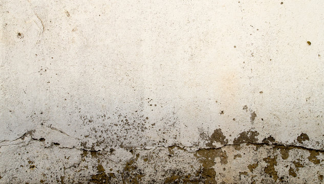 Betonwand mit Rissen und Abplatzungen